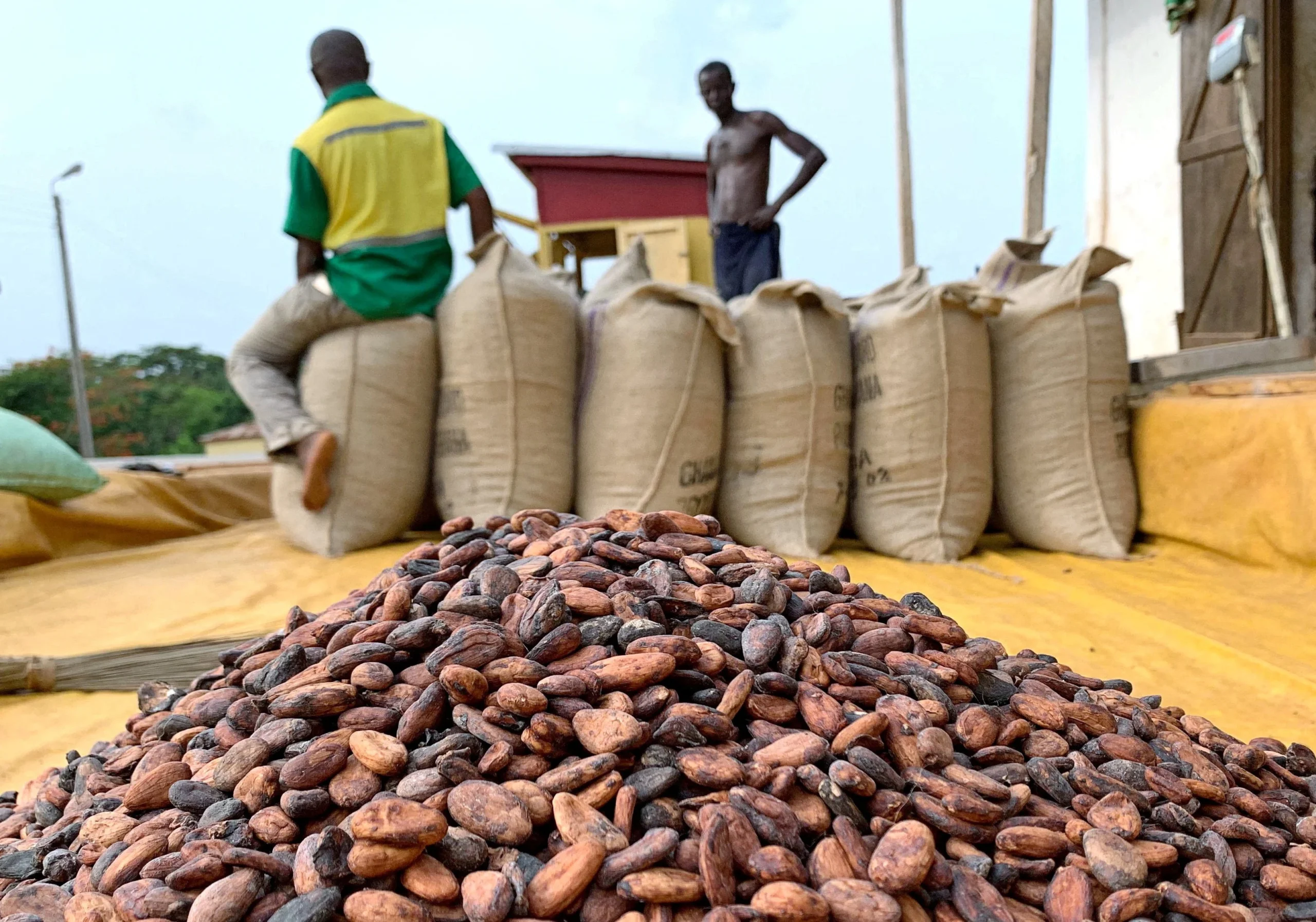 Govt Orders 50% Local Cocoa Processing, Revives PBC and CPC – Ato Forson