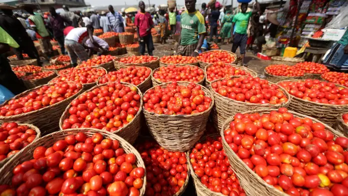 Ghana Loses GHS 5.7bn Annually to Tomato Import Dependency – Chamber of Agribusiness Ghana