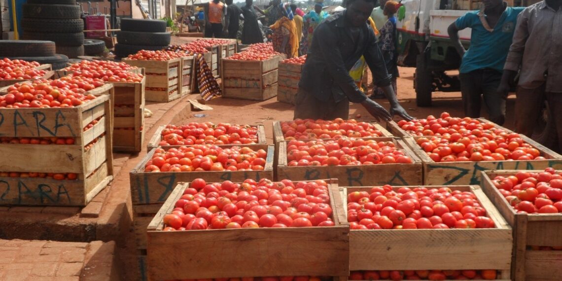 World Bank Secures $20m Dutch Grant to Cushion Ghana Against Tomato Shortage After Burkina Faso Export Ban