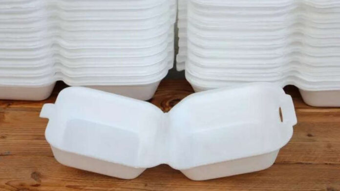 Ghana’s Plastic Manufacturers Urge Prez Mahama to Delay Styrofoam Ban Until 2030