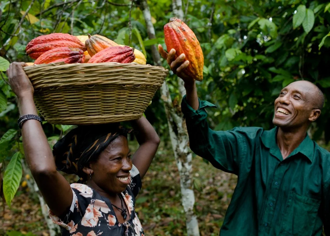 Ghana’s Cocoa Recovery Loses Momentum as First-Quarter Growth Slows to 3.8%