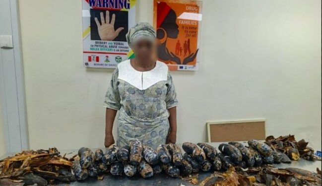 67-Year-Old Grandmother Arrested After Allegedly Hiding 13kg of Cocaine in Fake Plantain Peels