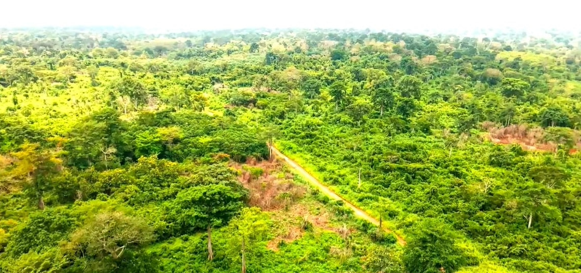 AfDB-Backed Forest Programme Restores Land and Livelihoods Across Ghana, Burkina Faso and Côte d’Ivoire